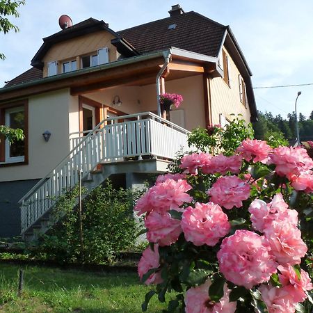 Locations Dupertuis Alsace Appartement Le Hohwald Buitenkant foto