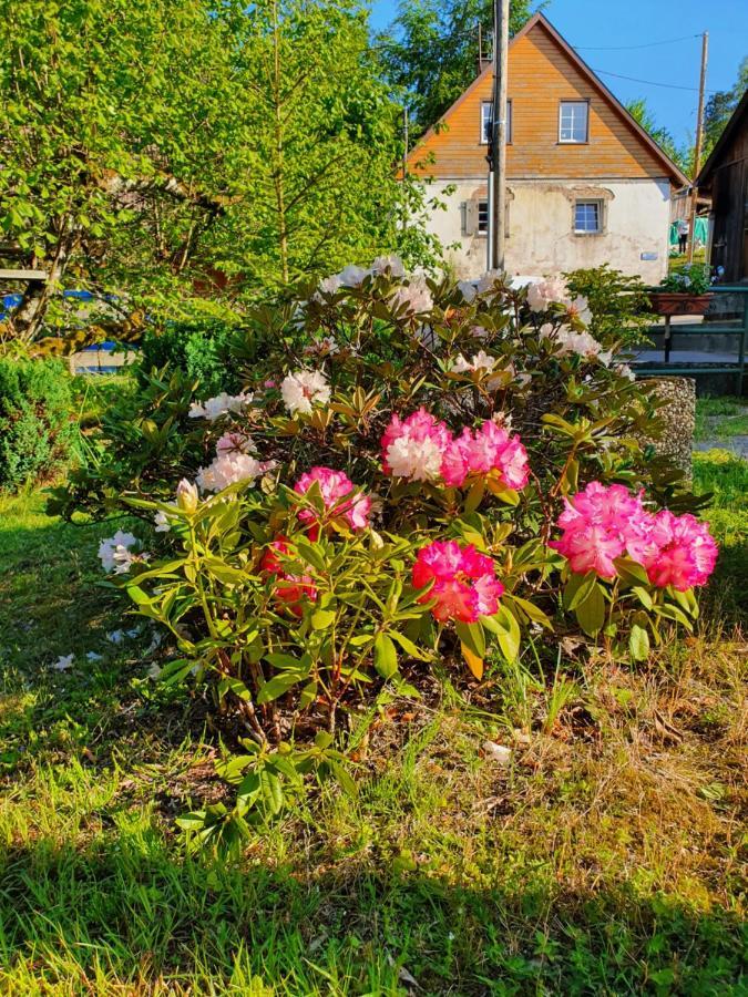Locations Dupertuis Alsace Appartement Le Hohwald Buitenkant foto
