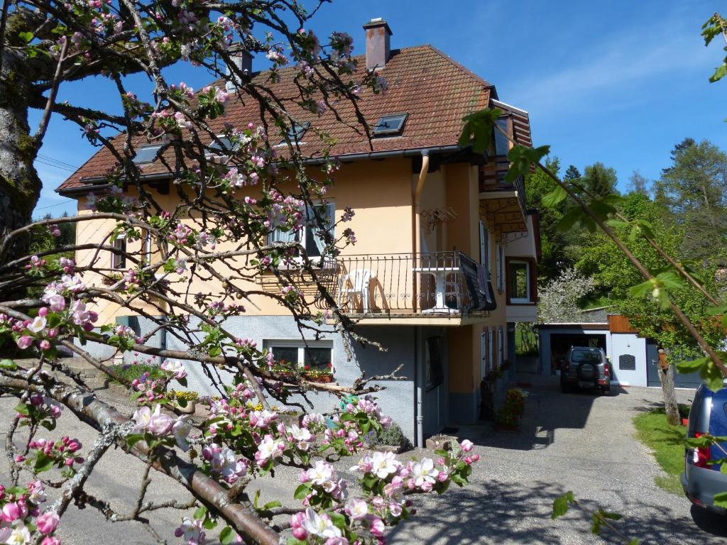 Locations Dupertuis Alsace Appartement Le Hohwald Buitenkant foto