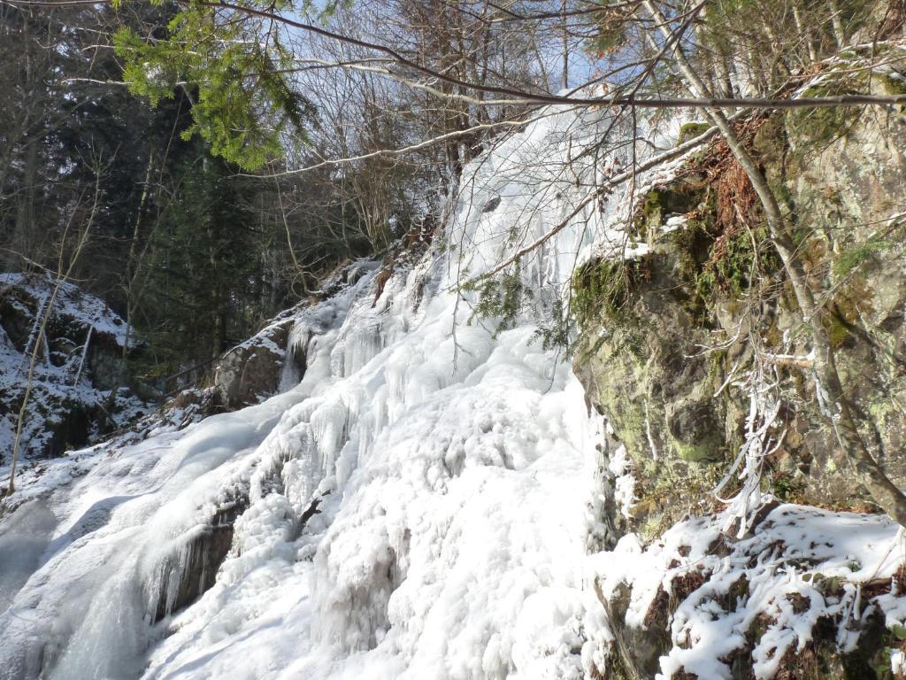 Locations Dupertuis Alsace Appartement Le Hohwald Buitenkant foto